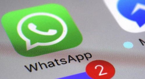 活跃WhatsApp,社交巨头背后的惊人数据与趋势