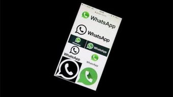 付费解封whatsapp号码,重获通讯自由