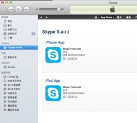 电脑要下载skype,开启便捷沟通新篇章