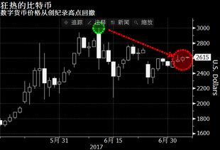 加密货币5000倍收益,5000倍收益背后的投资策略揭秘