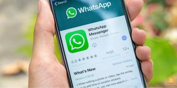 俄罗斯社交软件whatsapp,跨越国界的即时通讯神器