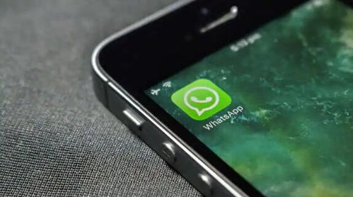 更新whatsapp最新版本,功能升级与性能优化一览