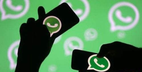 低成本的whatsapp营销,揭秘WhatsApp营销的黄金策略