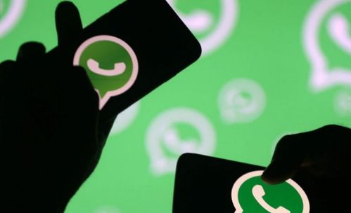 多伦多whatsapp号码,揭秘WhatsApp号码背后的城市魅力