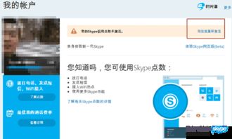 国外skype国内慢是哪里,跨国网络挑战解析