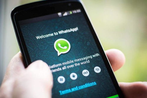 电话诈骗案例whatsapp,案例分析及防范攻略