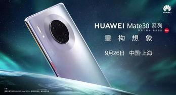 华为手机mate30不能登skype,华为Mate30无法登录Skype的解决攻略