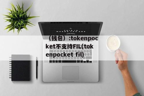 国外版的tokenpocket长什么样,功能丰富、界面简洁的数字钱包体验