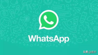 飞信和whatsapp,跨文化交流的使者