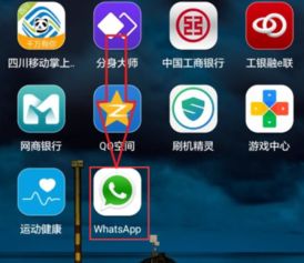 华为whatsapp怎么添加好友,华为WhatsApp轻松添加好友指南