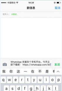 电脑端whatsapp加好友,拓展社交圈