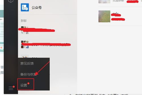 电脑上skype老经常退出,探究原因与解决方案