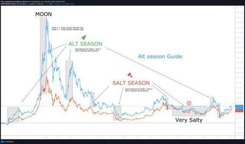 加密货币牛市轮动,解锁潜在爆发行情
