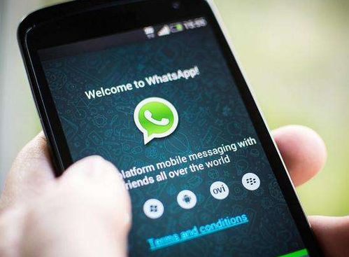 恢复whatsapp收到的照片,Android数据恢复软件实操指南