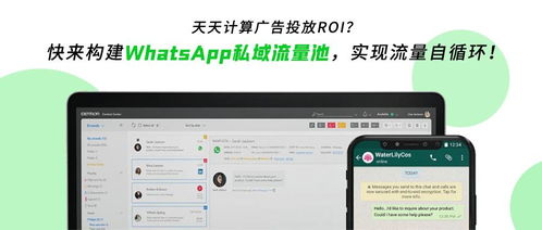 电商whatsapp,高效触达全球客户的秘密武器