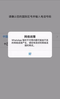 换手机登不上whatsapp,手机更换后WhatsApp登录难题解析与解决攻略