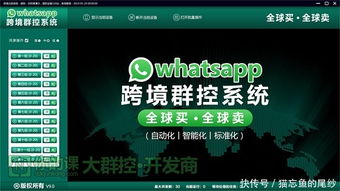 大家还用whatsapp吗,社交工具的变迁与坚守