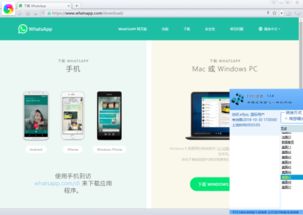 电脑如何登录whatsapp,详细步骤与使用技巧解析