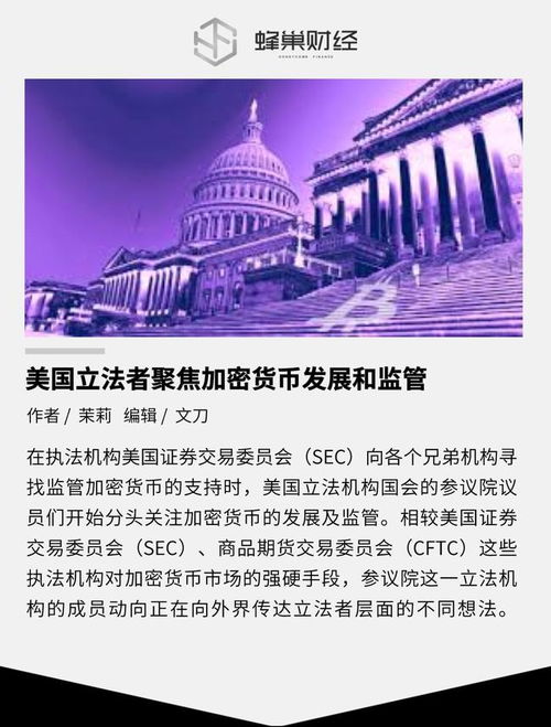 国家对待加密货币的政策,监管策略与市场影响分析