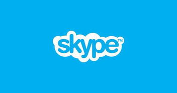 短期学术Skype,副标题在学术论文中的关键作用