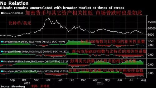 股市和加密货币的关系,共舞于数字金融浪潮