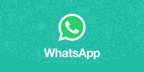 法国人不用WhatsApp吗,法国人为何不普遍使用？