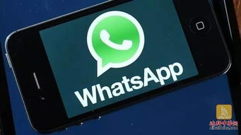 迪拜可以用whatsapp吗,WhatsApp助力十项政府服务便捷接入