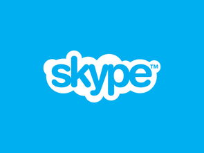 还有和skype一样的,打造与Skype相媲美的智能交流平台副标题生成器