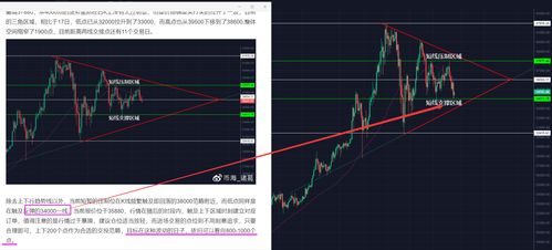 加密货币不包含特点,超越匿名性、去中心化与安全性之外的独特特质