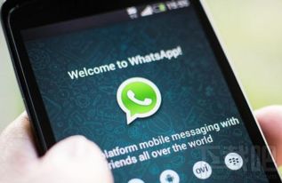 大陆屏蔽了whatsapp,揭秘背后的网络封锁与影响