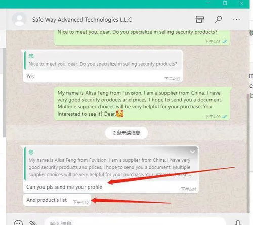 给美国客户打whatsapp,WhatsApp营销策略全解析