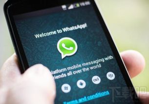 大陆whatsapp帐户打不开怎么办,排查与应对策略