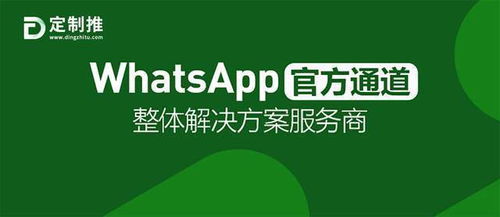 服务好的whatsapp营销,打造卓越客户服务体验的全球沟通利器