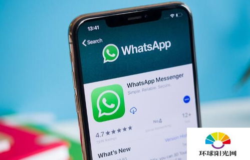 点样知道whatsapp已读,AI助力自动生成阅读状态概述