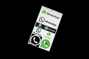 国内专业的whatsapp工具,多账户管理、通知回复与消息定时发送功能解析