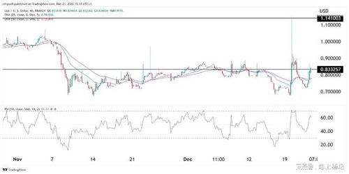 加密货币lsk,技术、应用与未来展望