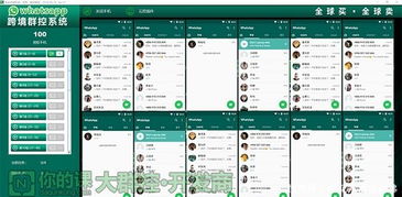 低成本的whatsapp群控,揭秘WhatsApp群控高效运营之道