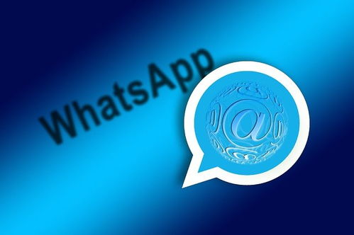 号码对了 但加不了whatsapp,号码匹配无误却无法加入WhatsApp？揭秘注册难题及解决方案