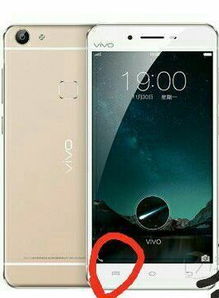 vivo x3安卓系统咋安装,vivo X3安卓系统安装指南