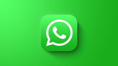 回国后WhatsApp发不了图片,回国后WhatsApp无法发送图片的解决攻略