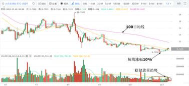 加密货币ETC最新消息,价格波动与市场前景分析